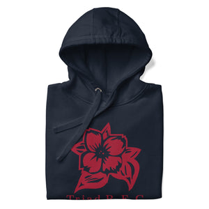 Rugby Imports Triad RFC Retro Hoodie